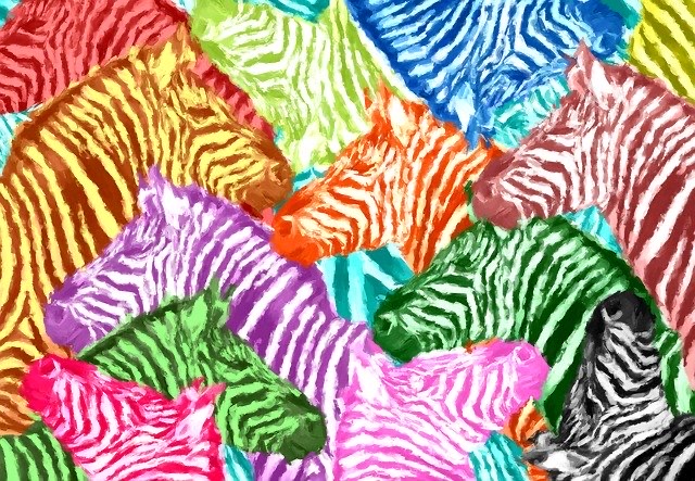 Colorful group of zebras—a dazzle of zebras
